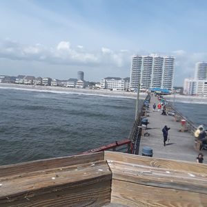 Meet your Posher, Gregory